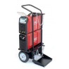 Spawarka inwertorowa EXPERT TIG 220 AC/DC PULSE W +chłodnica, wózek